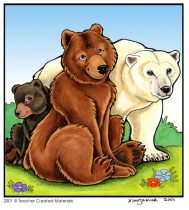 bearstcm.jpg by XianJaguar