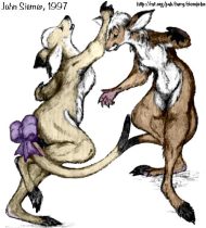 boogyroo.jpg by John Siemer (Spaceroo)
