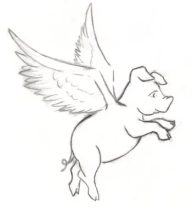 flypig.jpg by Cindy Cabrera (Shai)