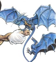 detail.jpg by Megan Giles (SpaceCat)