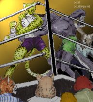 fights.jpg by Jason Williams (Ocicat)