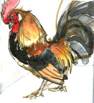 dutchbantam.jpg by Allison Reed (javachickn, mudshark)