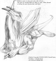 bw_ahkahna_new.jpg by Hannah Spute (Ahkahna)