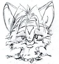 ff99.jpg by MaryBeth Kiczenski (SuperCrazzy)