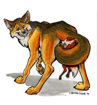 tailhug.jpg by Teresa Warner (Carolyna Cougar)