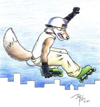 skatefox.jpg by Jimmy Chin (Kohii, Bunnell, Yippee Coyote)
