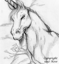 unishade.jpg by Margaret Petrie (Nduli)