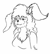 bighare.jpg by Colleen Phillips (Catnel)