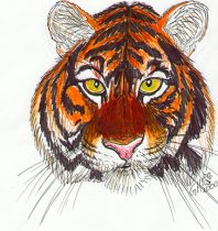 tigsmrk.jpg by Gloria Higginbottom (Twap, Snitter)
