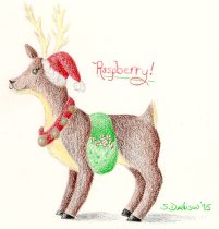 rasrn-sd.jpg by Samantha Davison (Raspberry)