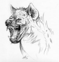 adcrocuta.jpg by Cara Mitten