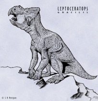 leptocer.jpg by Susan Morgan (DeNonikus, Shoes, Chasmosaur)