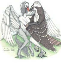 swansayhcolor.jpg by Xenia Eliassen (Swandog)