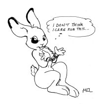 mel-010.gif by Melissa Drake (MelSkunk, Jabet)