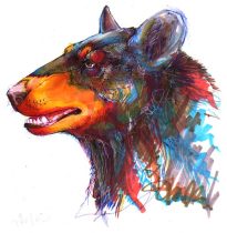 blackbear.jpg by Allison Reed (javachickn, mudshark)