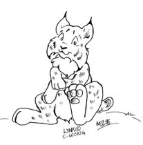 mel-069.jpg by Melissa Drake (MelSkunk, Jabet)