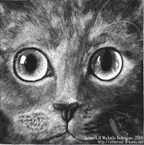 scratchboard_kitty.jpg by Michelle Rodriguez (Etherrawen)
