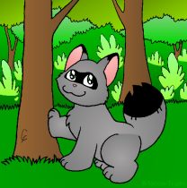 tanukikl.jpg by Chris Farrington (Kelvin the Lion)