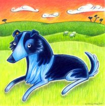 bordercollie.jpg by Jenn Rodriguez (PacRat)