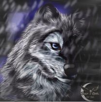 what.jpg by Heather Schumacher (Nova)