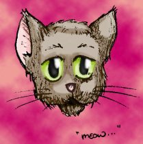 meow.jpg by Jason Lamey (Bad Karma)