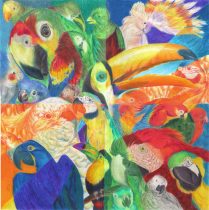 macawcolor.jpg by Jenika Watkins (After, Nevar)
