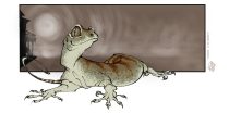 dommiewest.jpg by Lissa B. Treiman (Koosh-llama)