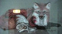 foxdipic.jpg by MaryBeth Kiczenski (SuperCrazzy)