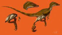 deinonyc.jpg by Susan Morgan (DeNonikus, Shoes, Chasmosaur)