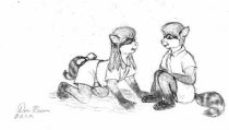racoon01.jpg by Donald Brown (oldrabbit)