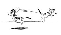 krzykats.gif by Cindy Cabrera (Shai)