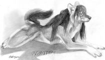 jaimemark.jpg by Therese Larsson (Ailah)