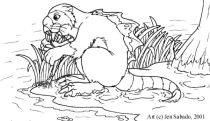 mudgrub.jpg by Jennifer Sabado (Seth, Tora)