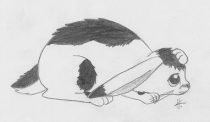 fearbun.jpg by Heather Fieldhouse (BunnyHugger, Ringo)