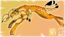 ntbcheetion.jpg by Nicole Trujillo (Kompy, Tanuki)