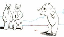 flapjackpolarbears.jpg by Allison Reed (javachickn, mudshark)