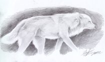 wolfies.jpg by Therese Larsson (Ailah)
