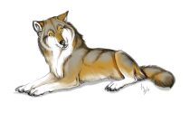 thelonewolf.jpg by L.N. Dornsife (Thornwolf)
