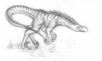 preleap.jpg by Tiffany Miller (Sketch, Swift Claw)
