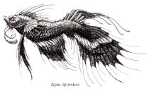 nevarbettadragon.jpg by Jenika Watkins (After, Nevar)