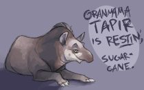 granmamasm.jpg by Claire Hummel (Shoom'lah)
