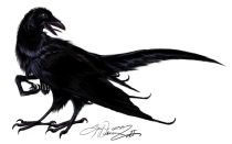 dragoncrowfinalsm.jpg by Sarah Wiedemann (Kestrel)