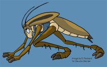 web_roach.gif by Sue P.