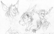 ddles.jpg by Brenden Smith (Kangaroo-Boy)