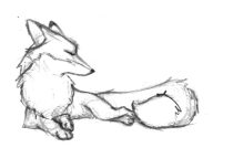 kitsune.jpg by Timothy Albee (Amadhi)