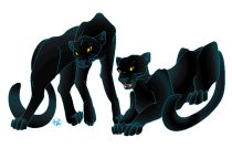 panthhs.gif by Tiffany Miller (Sketch, Swift Claw)