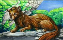mustelid.jpg by Eric Blumrich (Mr. Ploppy)
