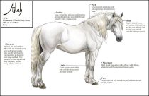fullbodyreference.jpg by Therese Larsson (Ailah)
