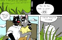 catslady.jpg by Erika Leigh Rosengarten (Chilly Mouse Mousie)