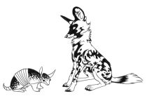 armadog.jpg by Claire Hummel (Shoom'lah)